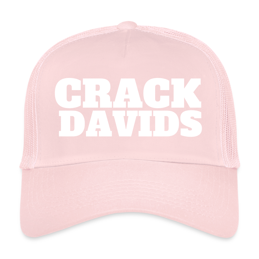MESHCAP DT_W/DAVIDS - pale pink