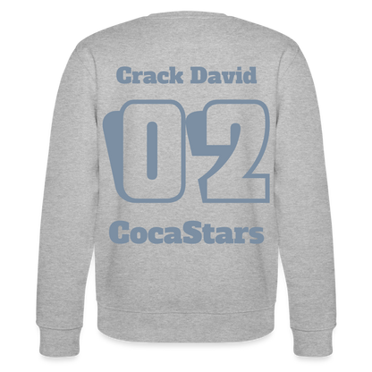 SWEATER 350g/m² DTC_SLBR02 - heather grey