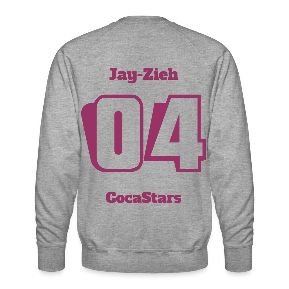 SWEATER 235g/m² - DTC CHERRY_04JAY - heather grey