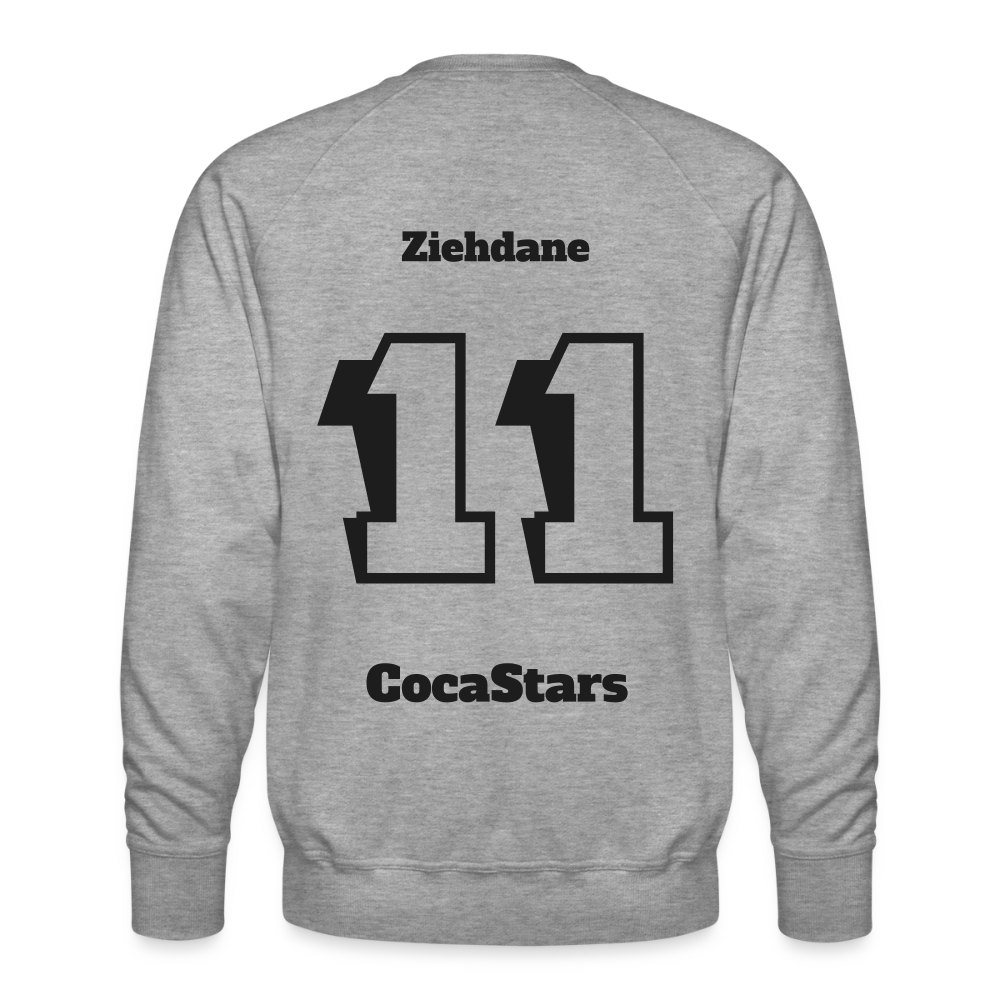 SWEATER 235g/m² - DTC BLACKY_11ZIEHNEDINE - heather grey