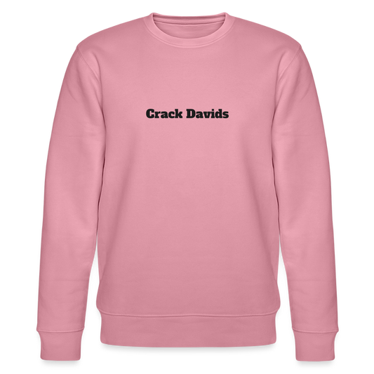 SWEATER DT_B/DAVIDS - lilac dream