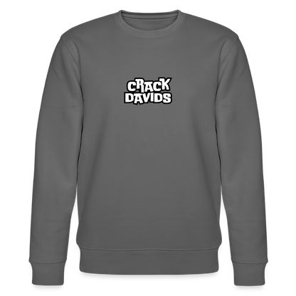 SWEATER DT_X/DAVIDS - anthracite